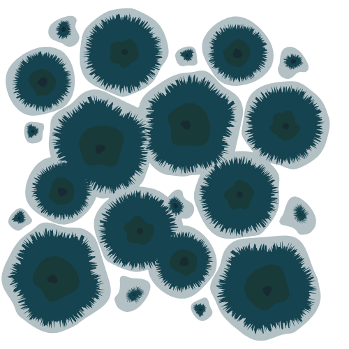 Microscopic view of mold particles